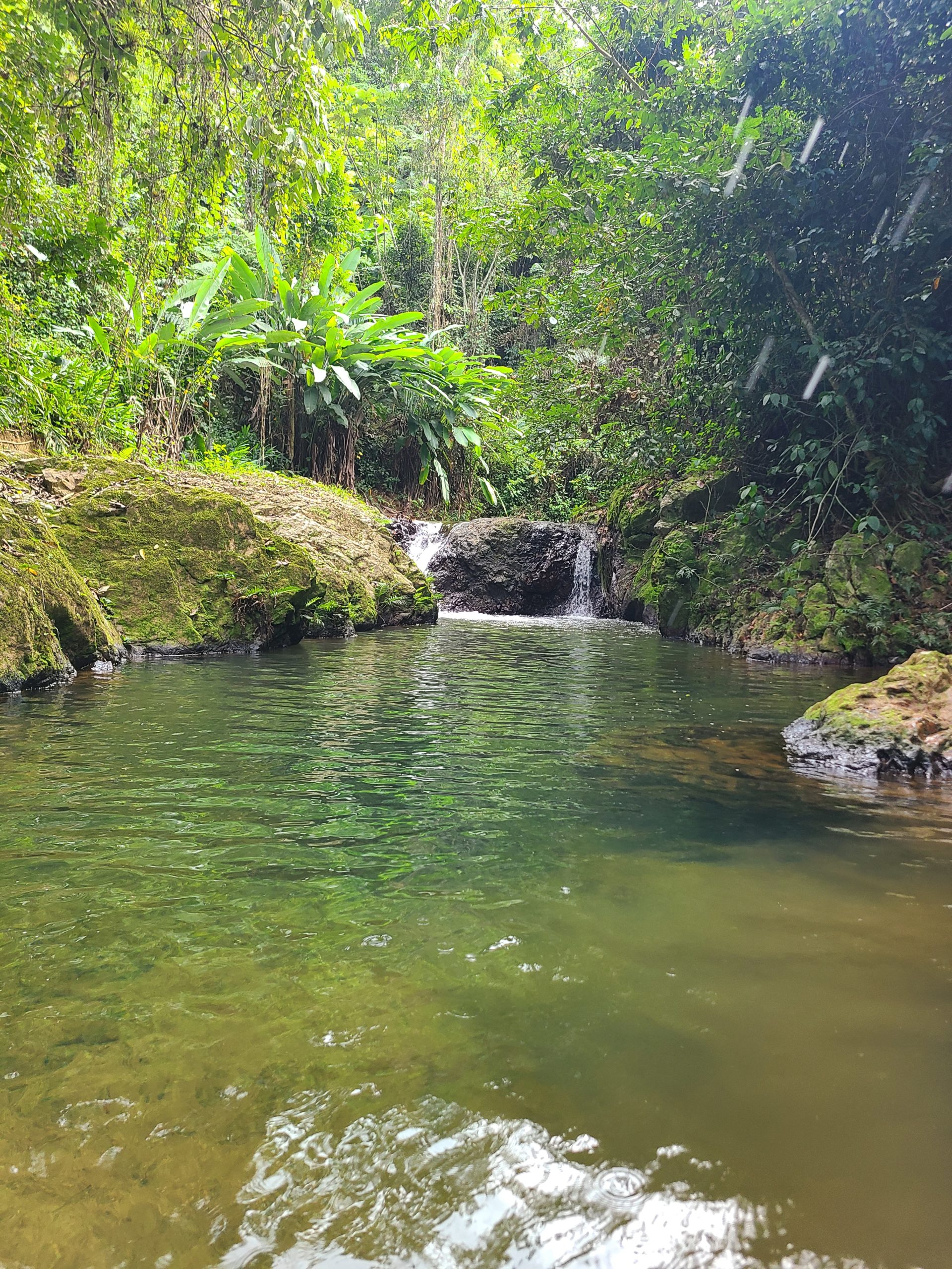 eco tours que es